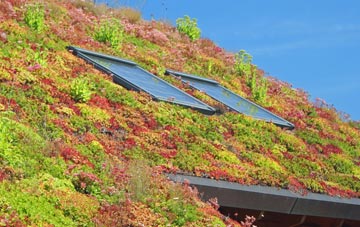 Whittingslow living roof systems